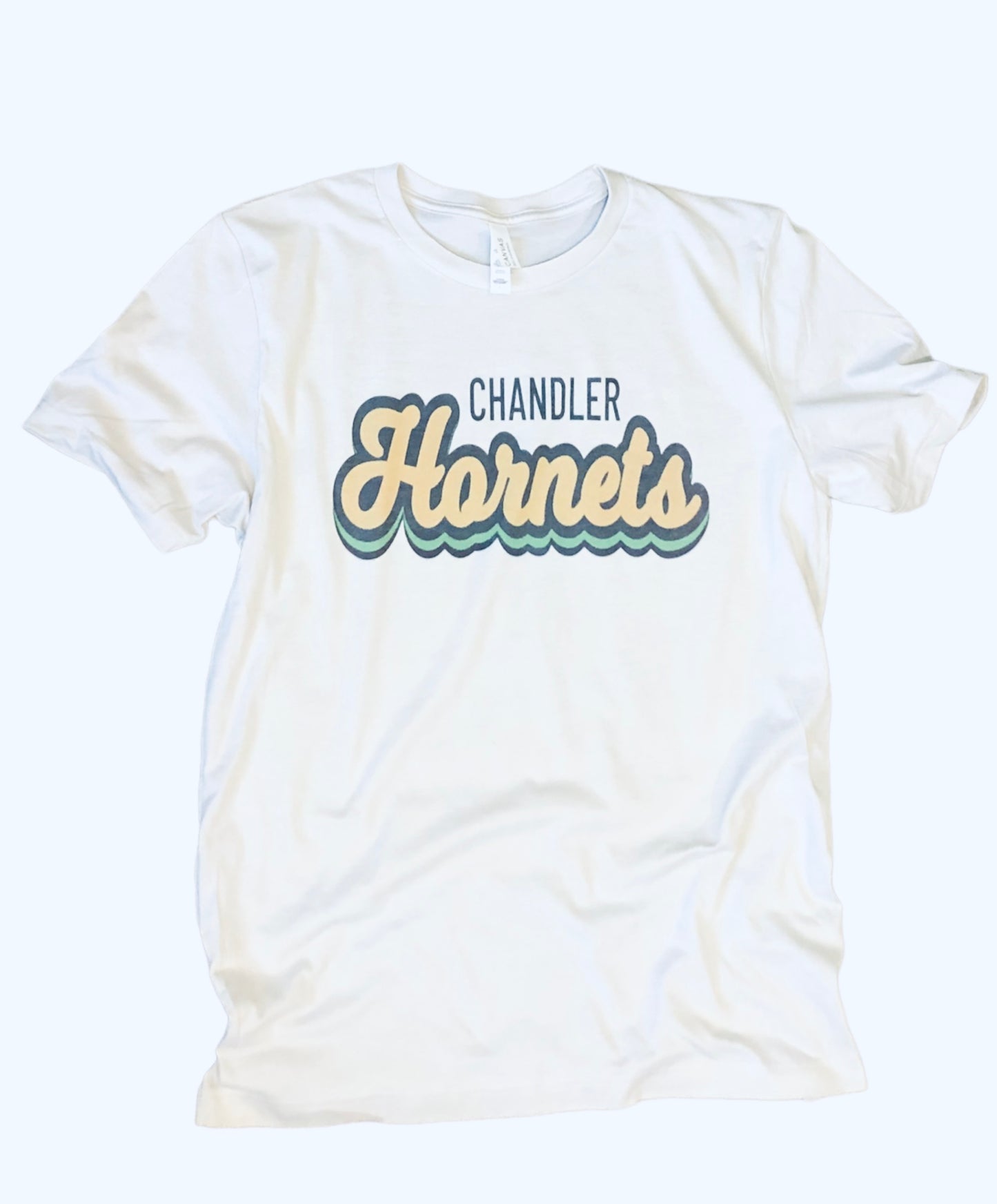 Retro School Spirit Shirt ~ Customized
