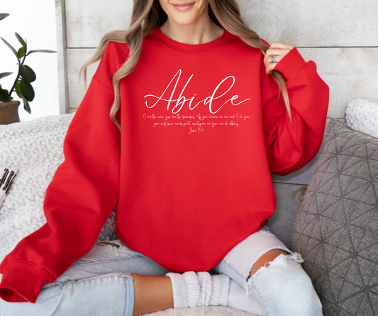 Abide, John 15:5 Christian red crewneck